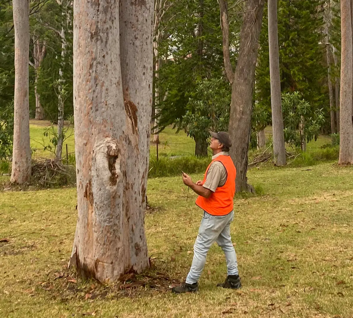 687e0c3a4fc6b2c36efbb431